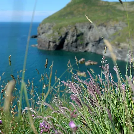 Tranquil Cornish Retreat Close To Port Isaac Beaches And Moor Bodmin Exterior photo