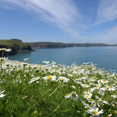 Tranquil Cornish Retreat Close To Port Isaac Beaches And Moor Bodmin Exterior photo