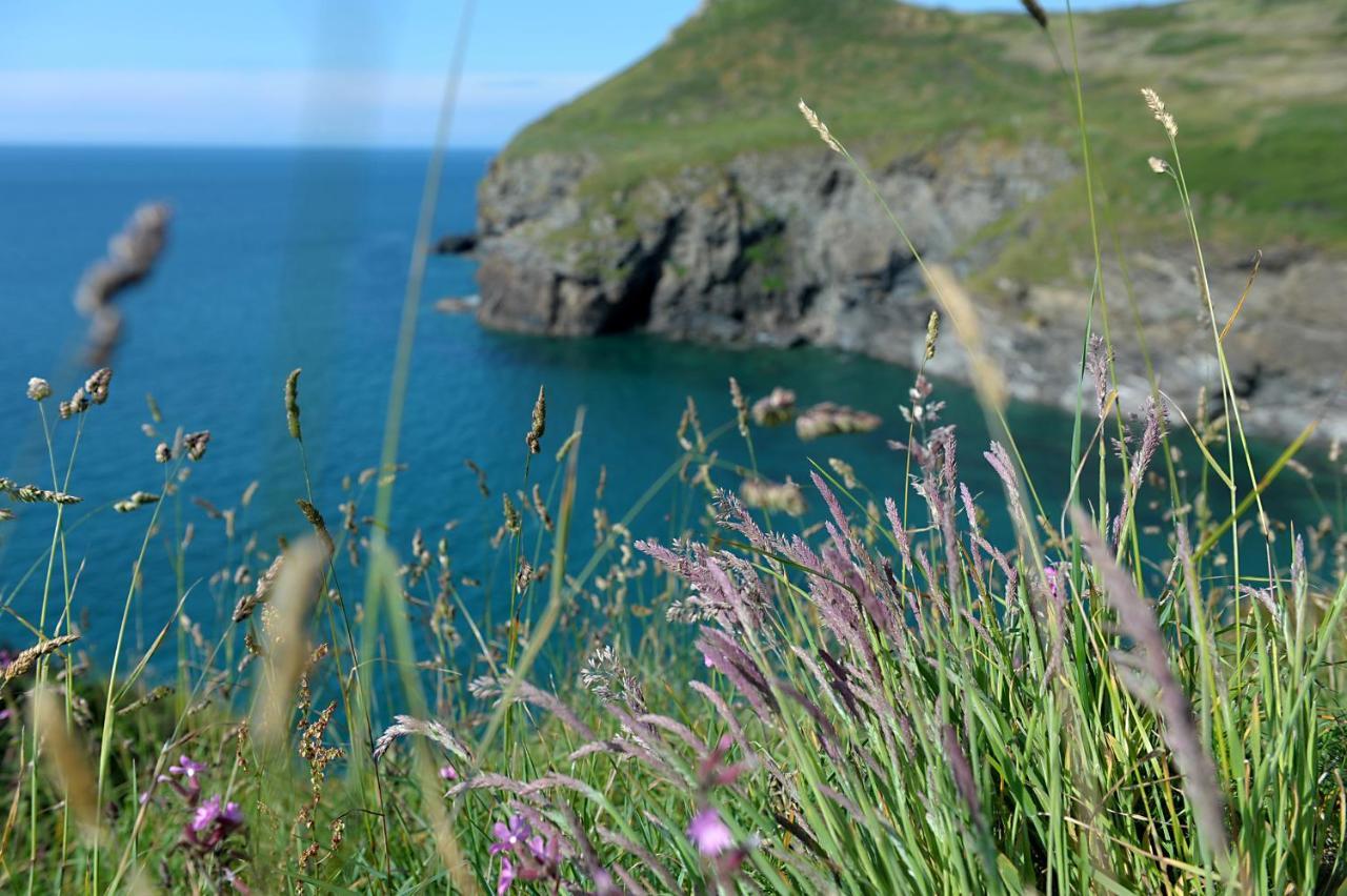 Tranquil Cornish Retreat Close To Port Isaac Beaches And Moor Holiday home Bodmin