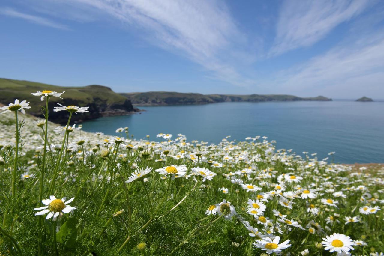 Tranquil Cornish Retreat Close To Port Isaac Beaches And Moor Bodmin