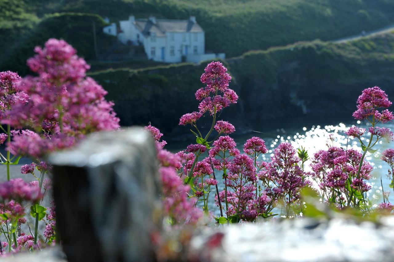 Tranquil Cornish Retreat Close To Port Isaac Beaches And Moor
